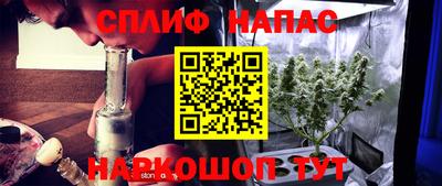 спиды Бузулук