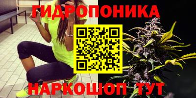 спиды Бузулук