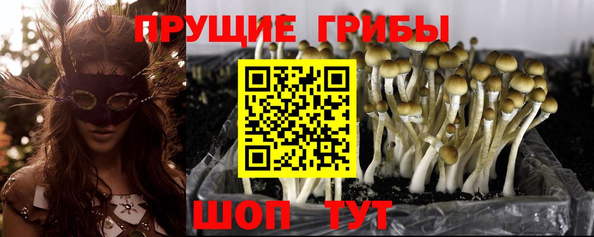 КОКАИН Томск