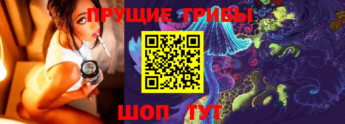Томск  Галлюциногенные грибы Cubensis  Вход с VPN 